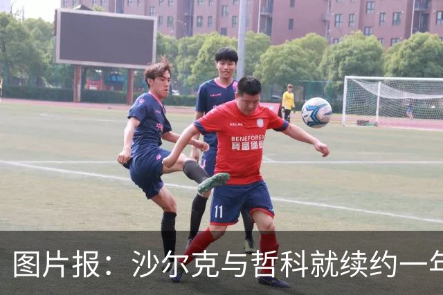 图片报：沙尔克与哲科就续约一年达成一致，年薪最高可达130万欧