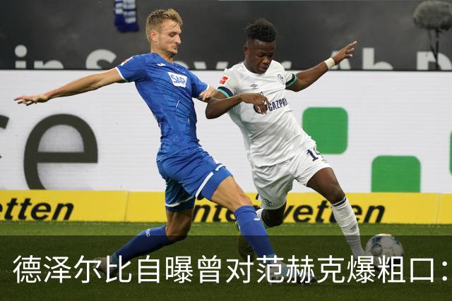 德泽尔比自曝曾对范赫克爆粗口：差点送热刺降级，现在必须投奔我