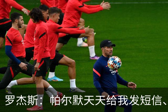 罗杰斯：帕尔默天天给我发短信、打电话，和好友并肩作战超级兴奋