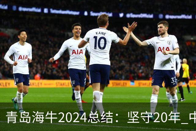 青岛海牛2024总结：坚守20年 中能的拼争与困境